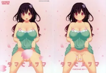 (Futaket 7) [OZONE (Marumiya)] Tamahime-sama [French] [Leroux00] manga cover