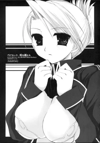 (SC24) [D.N.A.Lab. (Miyasu Risa)] Pair Look, Touge o Koeru (Fullmetal Alchemist) manga cover