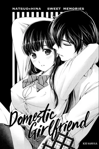 Domestic na Kanojo Chapter 164.7 manga cover