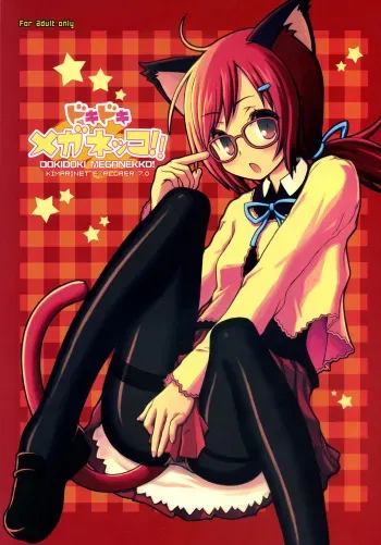 (C72) [Kimarinet (kimarin)] DOKIDOKI MEGANEKKO!! manga cover