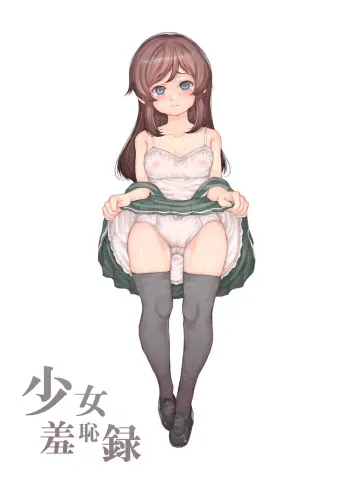 [RAID SLASH (Kurokoeda)] Shoujo Shuuchiroku (Kantai Collection -KanColle-) manga cover