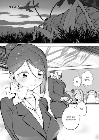 [Haechaimu (smomo)] Riokku x CA | 여치 x 승무원 [Korean] manga cover