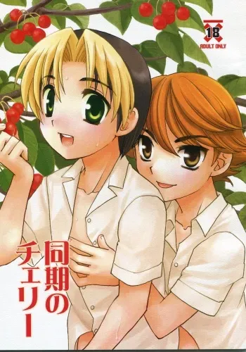 (Shotaket 10) [Yama Momo Kajitsu (Yamamoto Kaori)] Douki no Cherry (Hikaru no Go) manga cover