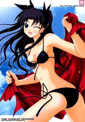 (C70) [SEITOKAISHITSU (Akimoto Dai)] THE SCARLET INVADER. (Fate/stay night) manga cover