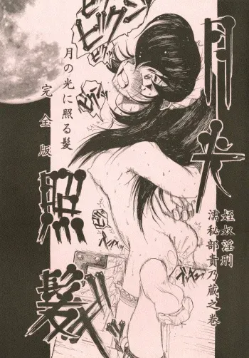 [SUMIRE CLUB 8823] Shining hair by the moonlight -full version- manga cover