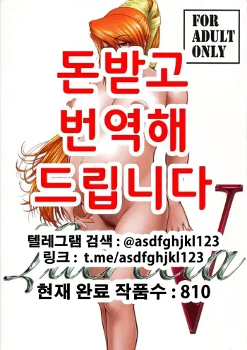 (C78) [Kokonokiya (Kokonoki Nao)] Lucrecia V (Final Fantasy VII: Dirge of Cerberus) [Korean] manga cover