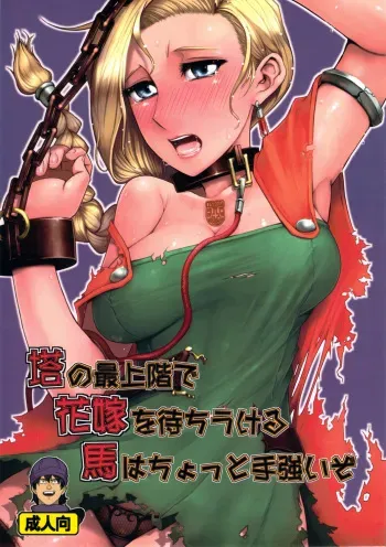 (C81) [A.S.G Group (Misonou)] Tou no Saijoukai de Hanayome o Machi Ukeru Uma wa Chotto Tegowai zo | The Horse Waiting with the Bride on the Top Floor of the Tower is Rather Tough (Dragon Quest V) [English] [LWB Collab] manga cover