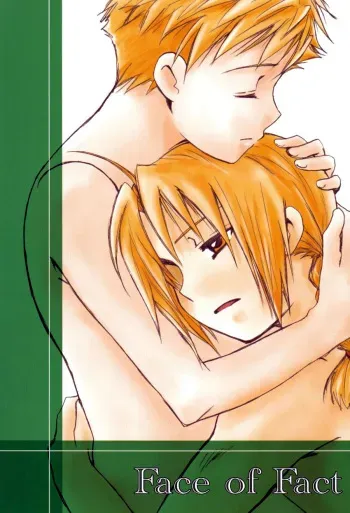 [Heppoko Alchemist (Soguni Mana)] Face of Fact (Fullmetal Alchemist) manga cover