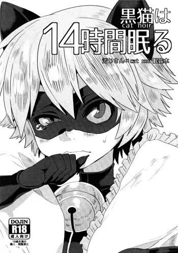 (Shota Scratch 27) [21kg (Kito)] Cat Noir wa 14-jikan Nemuru (Miraculous Ladybug) [Korean] manga cover