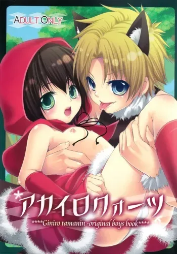 [Giniro Shounen Tanteidan (Giniro Tamanin)] Akairo Quartz manga cover