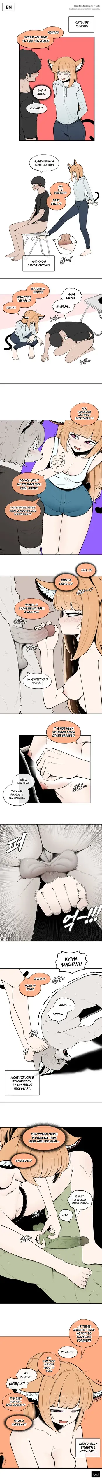 [LangD] 2024-11-15 고양이(猫)(Cat) manga cover