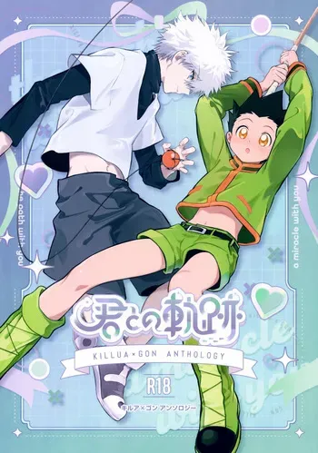 (Re:HUNTER 11) [ACUTE (Various)] Kimi to no Kiseki (Hunter x Hunter) manga cover
