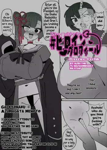 [Alfre-Tori] Heroine Profile 5 [English] manga cover