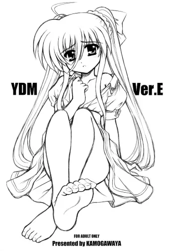 YDM Ver.E manga cover