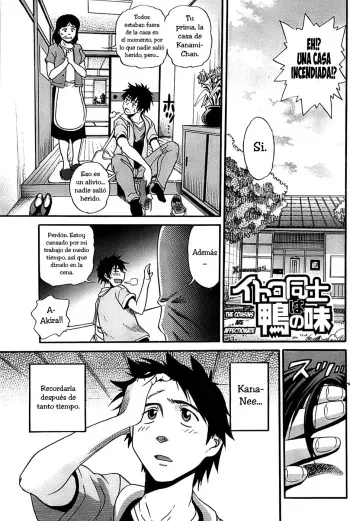 [Distance] Itoko Doushi wa Kamo no Aji (Young Comic 2008-09) [Spanish] [XHentai95] manga cover