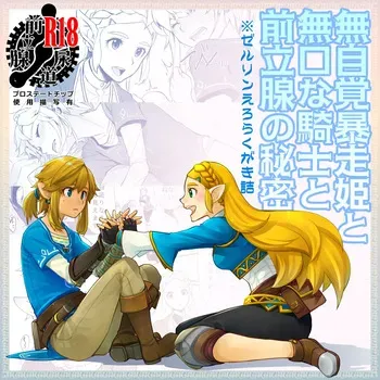 [ONP]Mujikaku Bousou Hime to Mukuchina Kishi to Zenritsusen no Himitsu | An Obliviously Uncontrollable Princess, a Silent Knight, and the Secret of Prostate (The Legend of Zelda) manga cover