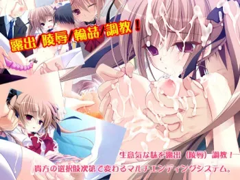 [NANACAN] Imouto Choukyou Nikki ~Konna Tsundere ga Ore no Imouto na Wake nai!~ [1/2] manga cover