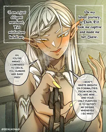 [Senukin] I Was Captured as a Dark Elf’s Toy manga cover