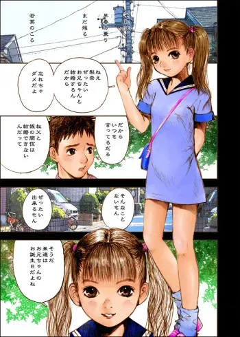 [Nakamura Mizumo] Birthday Present manga cover