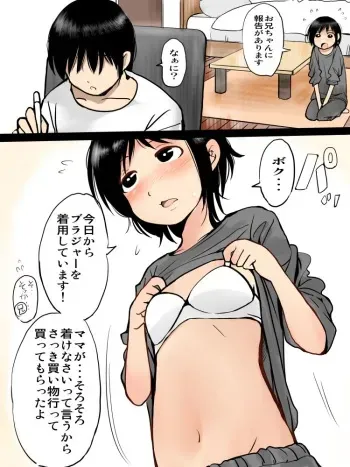 [mimamoriencyo] Onii-chan ga Daisuki na Imouto-chan manga cover