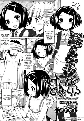 [Shouji Ayumu] Keikaku Doori? | Just As Planned? (COMIC Megastore 2011-08) [English] [Yoroshii] manga cover