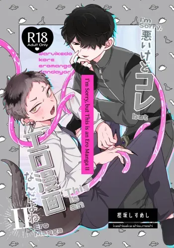 I'm Sorry, but This is an Ero Manga II manga cover