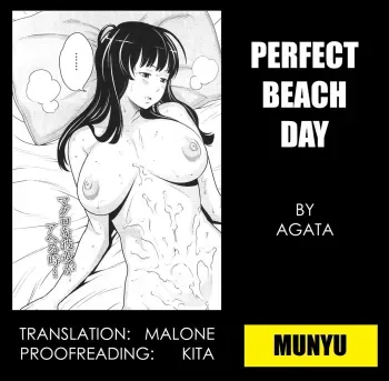 Perfect Beach Day manga cover