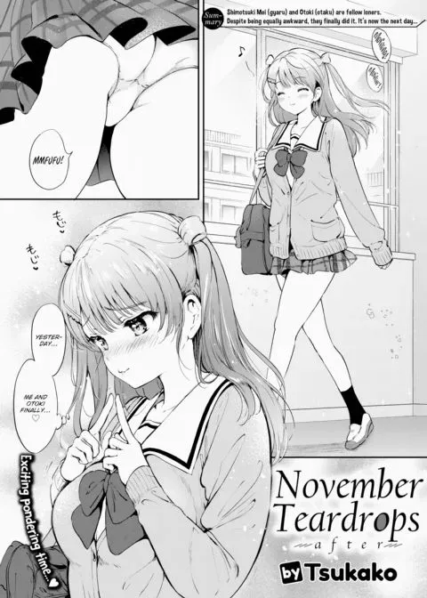 November Teardrops - after manga cover