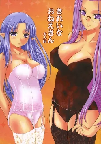 (CR36) [Goromenz (Yasui Riosuke)] Kirei na Onee-san (Fate/stay night) manga cover