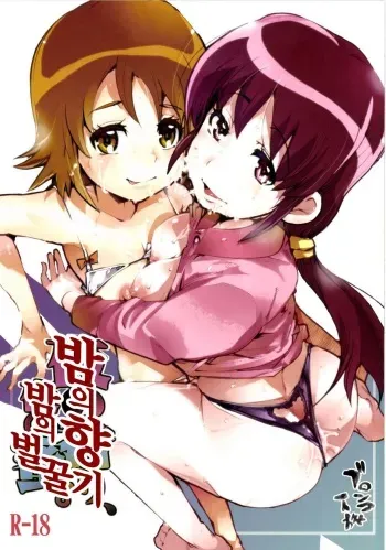 [Bronco Hitoritabi (Uchi-Uchi Keyaki)] Yoru no Kaori, Yoru no Mitsu. (HappinessCharge Precure!) [korean] manga cover