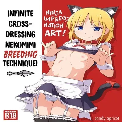 Ninja Impregnation Art: Infinite Crossdressing Nekomimi Breeding Technique! [Yaoi] [Original] manga cover