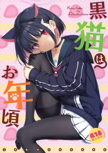 Kuroneko wa Otoshigoro | The Black Cat is of Age manga cover