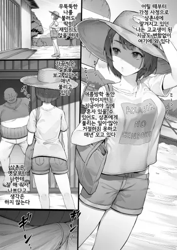 [Nigiri Usagi] Itsumodoori no Natsuyasumi | 늘 하던 대로의 여름방학 [Korean] manga cover