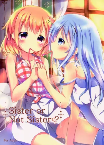 Sister or Not Sister?? manga cover