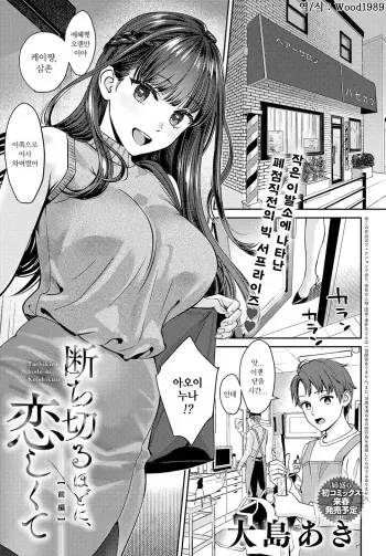 [Oshima Aki] Tachikiru hodo ni, Koishikute | 끊어질 정도로 그리워서 전+후 [Korean] [Digital] manga cover