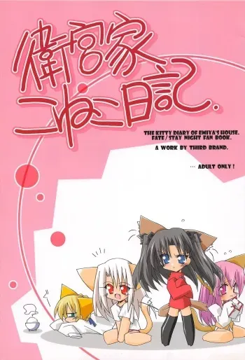 (C67) [THIRD BRAND (Katsumata Kazuki)] Emiyake Koneko nikki (Fate stay night) manga cover