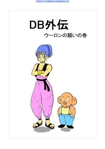 [Gyuudon Maou] DB Gaiden - Oolong no Negai no Maki (Dragon Ball) manga cover