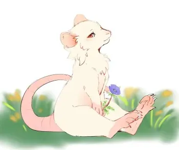 Kaiten ParaDOGs - Rats manga cover