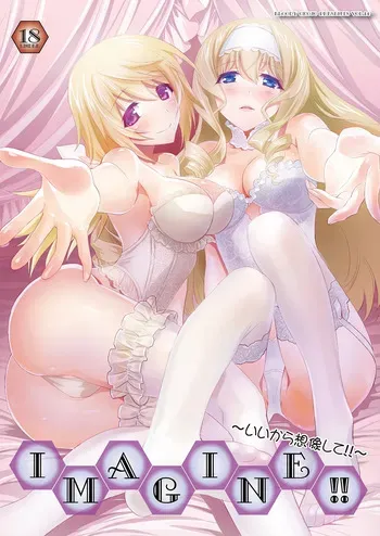 (COMIC1☆8) [Bloody Okojo (Mojyako, Caviar)] IMAGINE!! ~Iikara Souzou Shite!!~ (IS <Infinite Stratos>) [Digital] manga cover