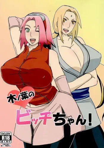 (C85) [Pucchu (Echigawa Ryuuka)] Konoha no Bitch-chan! (Naruto) [English] [Laruffii] manga cover