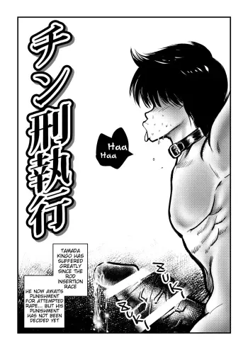 Chinkei Shikkou | Implementing Penis Penalty manga cover