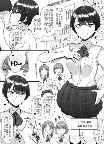 Prince-like girl manga cover