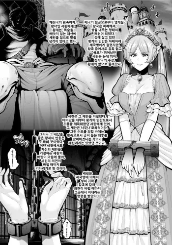 [sevengar] 패전국의 공주님 | Haisenkoku No Himegimi [Korean] manga cover