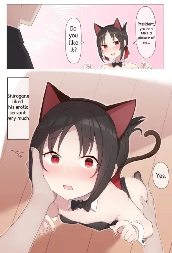 Nekomimi no Kaguya-sama manga cover