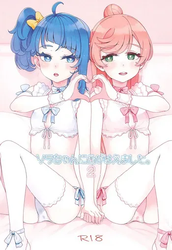 (C107) [Guruguru Taiyo (Sakura Kotetsu)] Sora-chan ni otintin ga Haemashita. 2 (Hirogaru Sky! Precure) manga cover