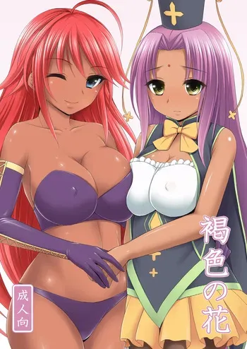 [Kokoro no Ie (Tadano Myoushi)] Kasshoku no Hana (Flower Knight Girl) [Digital] manga cover