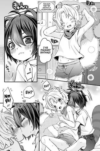 [Rushichi] Araiguma to Ferret no Otokonoko-tachi no Manga | Ferret and raccoon boys manga [English] [Kinsei Translations] [Decensored] manga cover