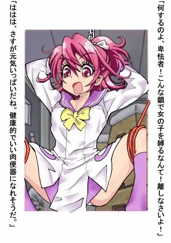 [Kogatakisaga Amasaki + Ukishima Toubu] Shoujo Senshi ga Nikubenki ni Goukan Choukyou Sarete Nichijou Seikatsu ga Fukanou na Hodo ni Nikutai Kaizou Saserareru (Dokidoki! Precure) manga cover