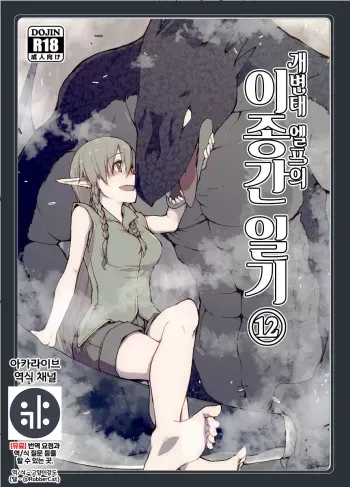 [Metamor (Ryo)] Dosukebe Elf no Ishukan Nikki 12 | 개변태 엘프의 이종간 일기 12 [Korean] [Digital] {역식채널} manga cover