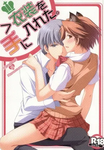 (SUPERKansai18) [Niboshiya (Mayokiti)] ＞Ishou o Te ni Ireta (Persona 4) manga cover